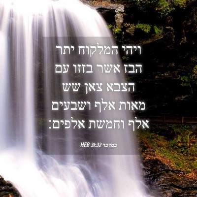 Picture 04 - במדבר 31:32 HEB - ויהי המלקוח יתר הבז אשר - Bible Verse Picture