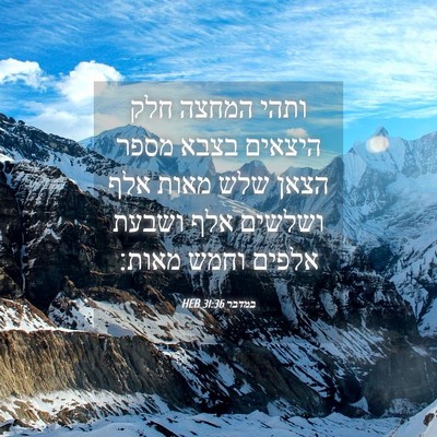Picture 04 - במדבר 31:36 HEB - ותהי המחצה חלק היצאים בצבא - Bible Verse Picture