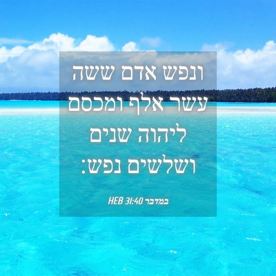 Picture 04 - במדבר 31:40 HEB - ונפש אדם ששה עשר אלף ומכסם - Bible Verse Picture