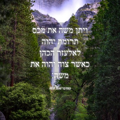 Picture 04 - במדבר 31:41 HEB - ויתן משה את מכס תרומת יהוה - Bible Verse Picture