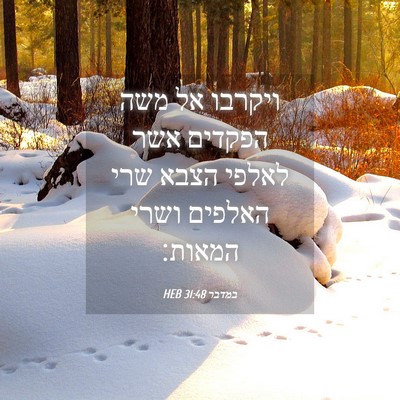 Picture 04 - במדבר 31:48 HEB - ויקרבו אל משה הפקדים אשר - Bible Verse Picture