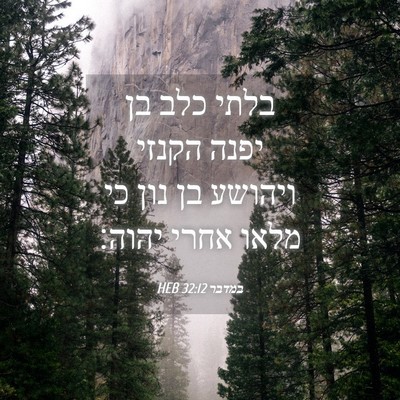 Picture 04 - במדבר 32:12 HEB - בלתי כלב בן יפנה הקנזי - Bible Verse Picture