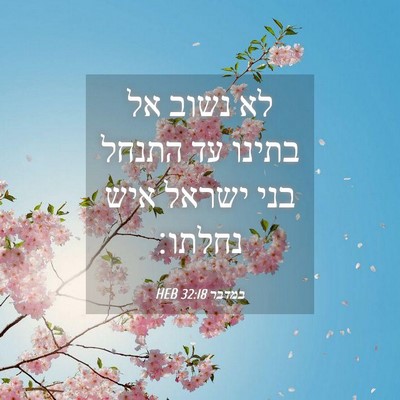 Picture 04 - במדבר 32:18 HEB - לא נשוב אל בתינו עד התנחל - Bible Verse Picture