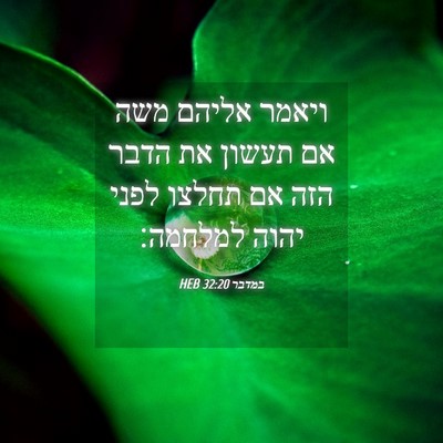 Picture 04 - במדבר 32:20 HEB - ויאמר אליהם משה אם תעשון את - Bible Verse Picture