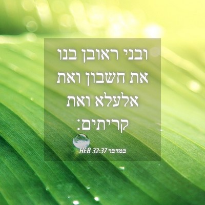 Picture 04 - במדבר 32:37 HEB - ובני ראובן בנו את חשבון ואת - Bible Verse Picture