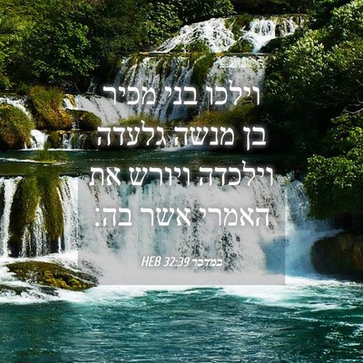 Picture 04 - במדבר 32:39 HEB - וילכו בני מכיר בן מנשה - Bible Verse Picture