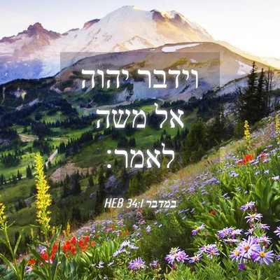 Picture 04 - במדבר 34:1 HEB - וידבר יהוה אל משה - Bible Verse Picture