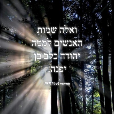 Picture 04 - במדבר 34:19 HEB - ואלה שמות האנשים למטה - Bible Verse Picture