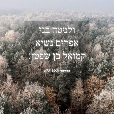 Picture 04 - במדבר 34:24 HEB - ולמטה בני אפרים נשיא קמואל - Bible Verse Picture