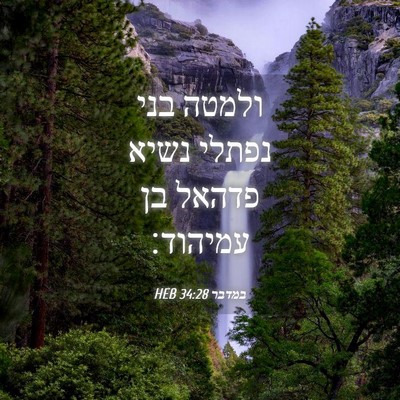 Picture 04 - במדבר 34:28 HEB - ולמטה בני נפתלי נשיא פדהאל - Bible Verse Picture