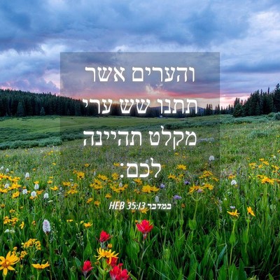 Picture 04 - במדבר 35:13 HEB - והערים אשר תתנו שש ערי מקלט - Bible Verse Picture