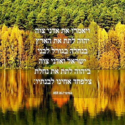 Picture 04 - במדבר 36:2 HEB - ויאמרו את אדני צוה יהוה לתת - Bible Verse Picture