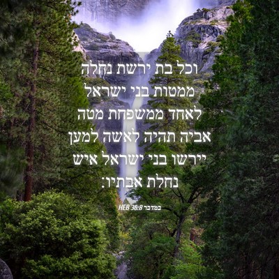 Picture 04 - במדבר 36:8 HEB - וכל בת ירשת נחלה ממטות בני - Bible Verse Picture