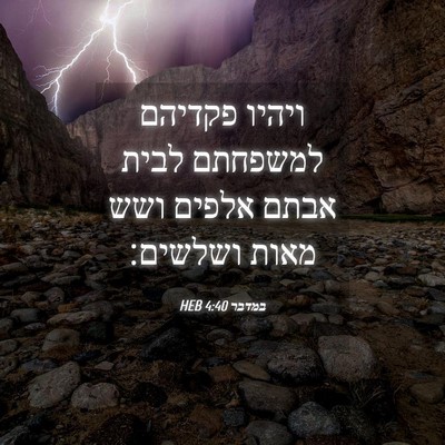 Picture 04 - במדבר 4:40 HEB - ויהיו פקדיהם למשפחתם לבית - Bible Verse Picture