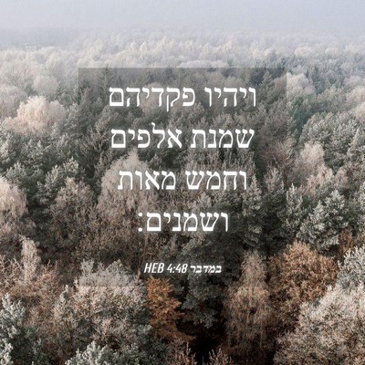 Picture 04 - במדבר 4:48 HEB - ויהיו פקדיהם שמנת אלפים - Bible Verse Picture