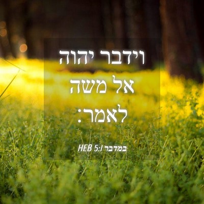 Picture 04 - במדבר 5:1 HEB - וידבר יהוה אל משה - Bible Verse Picture
