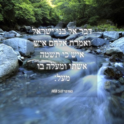 Picture 04 - במדבר 5:12 HEB - דבר אל בני ישראל ואמרת אלהם - Bible Verse Picture