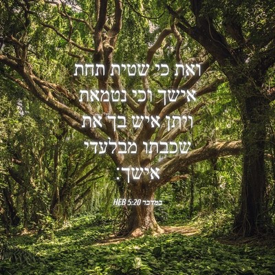 Picture 04 - במדבר 5:20 HEB - ואת כי שטית תחת אישך וכי - Bible Verse Picture