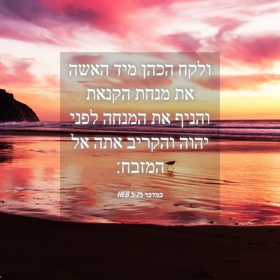 Picture 04 - במדבר 5:25 HEB - ולקח הכהן מיד האשה את מנחת - Bible Verse Picture