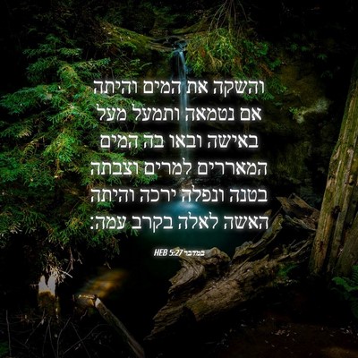 Picture 04 - במדבר 5:27 HEB - והשקה את המים והיתה אם - Bible Verse Picture
