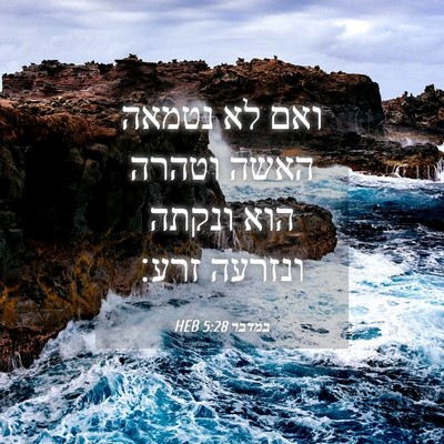 Picture 04 - במדבר 5:28 HEB - ואם לא נטמאה האשה וטהרה הוא - Bible Verse Picture