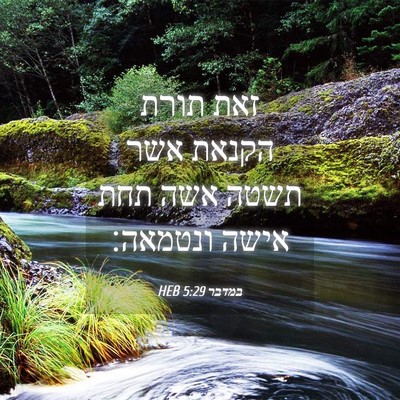 Picture 04 - במדבר 5:29 HEB - זאת תורת הקנאת אשר תשטה אשה - Bible Verse Picture