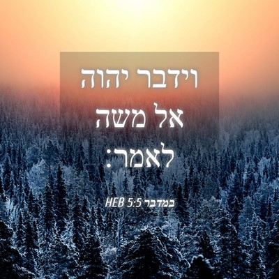 Picture 04 - במדבר 5:5 HEB - וידבר יהוה אל משה - Bible Verse Picture