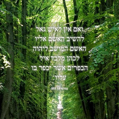 Picture 04 - במדבר 5:8 HEB - ואם אין לאיש גאל להשיב האשם - Bible Verse Picture