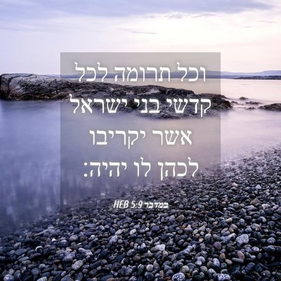 Picture 04 - במדבר 5:9 HEB - וכל תרומה לכל קדשי בני - Bible Verse Picture