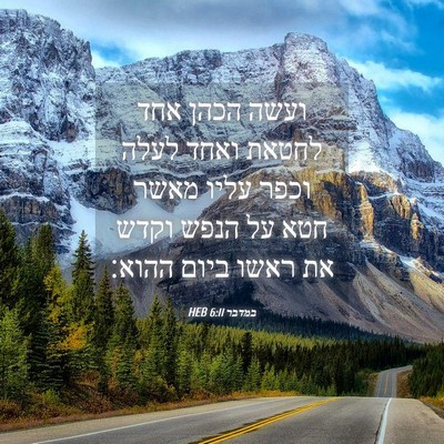 Picture 04 - במדבר 6:11 HEB - ועשה הכהן אחד לחטאת ואחד - Bible Verse Picture