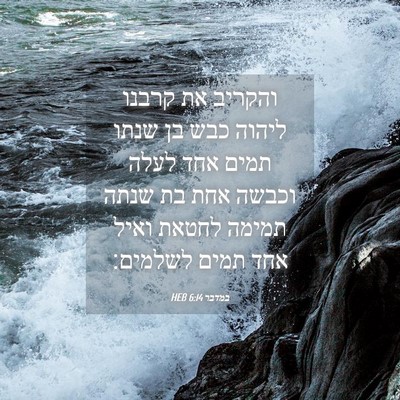 Picture 04 - במדבר 6:14 HEB - והקריב את קרבנו ליהוה כבש - Bible Verse Picture