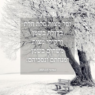 Picture 04 - במדבר 6:15 HEB - וסל מצות סלת חלת בלולת בשמן - Bible Verse Picture