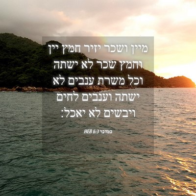 Picture 04 - במדבר 6:3 HEB - מיין ושכר יזיר חמץ יין וחמץ - Bible Verse Picture