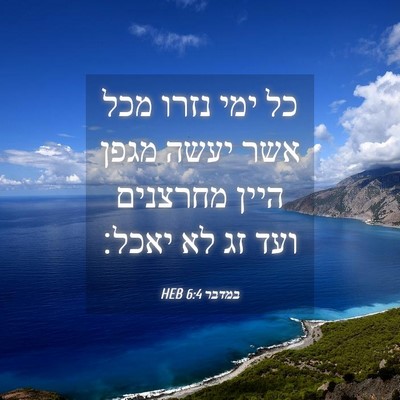 Picture 04 - במדבר 6:4 HEB - כל ימי נזרו מכל אשר יעשה - Bible Verse Picture