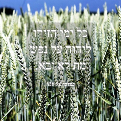 Picture 04 - במדבר 6:6 HEB - כל ימי הזירו ליהוה על נפש - Bible Verse Picture