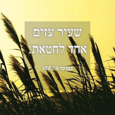 Picture 04 - במדבר 7:16 HEB - שעיר עזים אחד - Bible Verse Picture