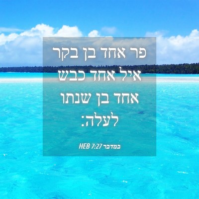 Picture 04 - במדבר 7:27 HEB - פר אחד בן בקר איל אחד כבש - Bible Verse Picture
