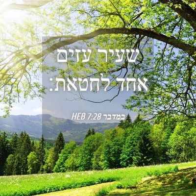 Picture 04 - במדבר 7:28 HEB - שעיר עזים אחד - Bible Verse Picture