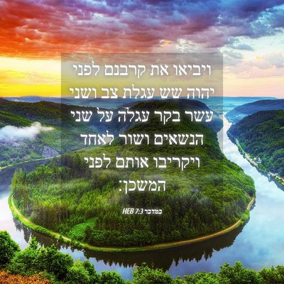 Picture 04 - במדבר 7:3 HEB - ויביאו את קרבנם לפני יהוה - Bible Verse Picture