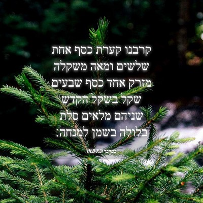 Picture 04 - במדבר 7:31 HEB - קרבנו קערת כסף אחת שלשים - Bible Verse Picture