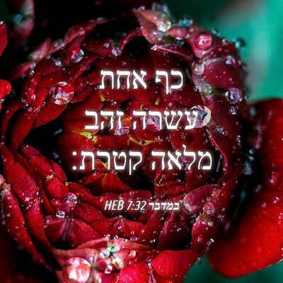 Picture 04 - במדבר 7:32 HEB - כף אחת עשרה זהב מלאה - Bible Verse Picture