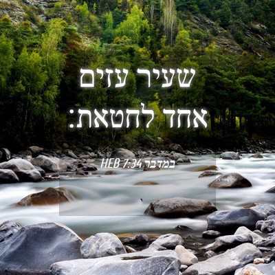 Picture 04 - במדבר 7:34 HEB - שעיר עזים אחד - Bible Verse Picture
