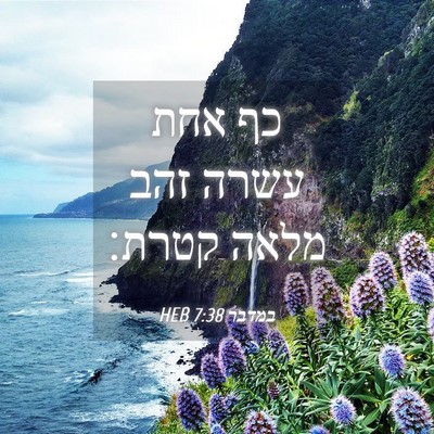 Picture 04 - במדבר 7:38 HEB - כף אחת עשרה זהב מלאה - Bible Verse Picture