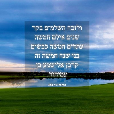 Picture 04 - במדבר 7:53 HEB - ולזבח השלמים בקר שנים אילם - Bible Verse Picture