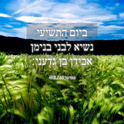 Picture 04 - במדבר 7:60 HEB - ביום התשיעי נשיא לבני - Bible Verse Picture