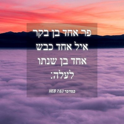 Picture 04 - במדבר 7:63 HEB - פר אחד בן בקר איל אחד כבש - Bible Verse Picture