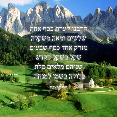 Picture 04 - במדבר 7:67 HEB - קרבנו קערת כסף אחת שלשים - Bible Verse Picture