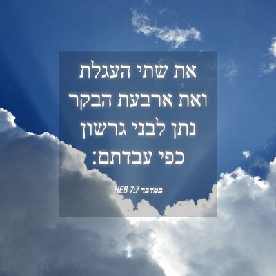 Picture 04 - במדבר 7:7 HEB - את שתי העגלת ואת ארבעת הבקר - Bible Verse Picture