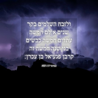 Picture 04 - במדבר 7:77 HEB - ולזבח השלמים בקר שנים אילם - Bible Verse Picture