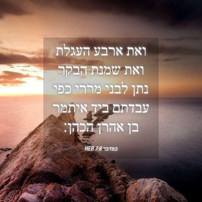 Picture 04 - במדבר 7:8 HEB - ואת ארבע העגלת ואת שמנת - Bible Verse Picture